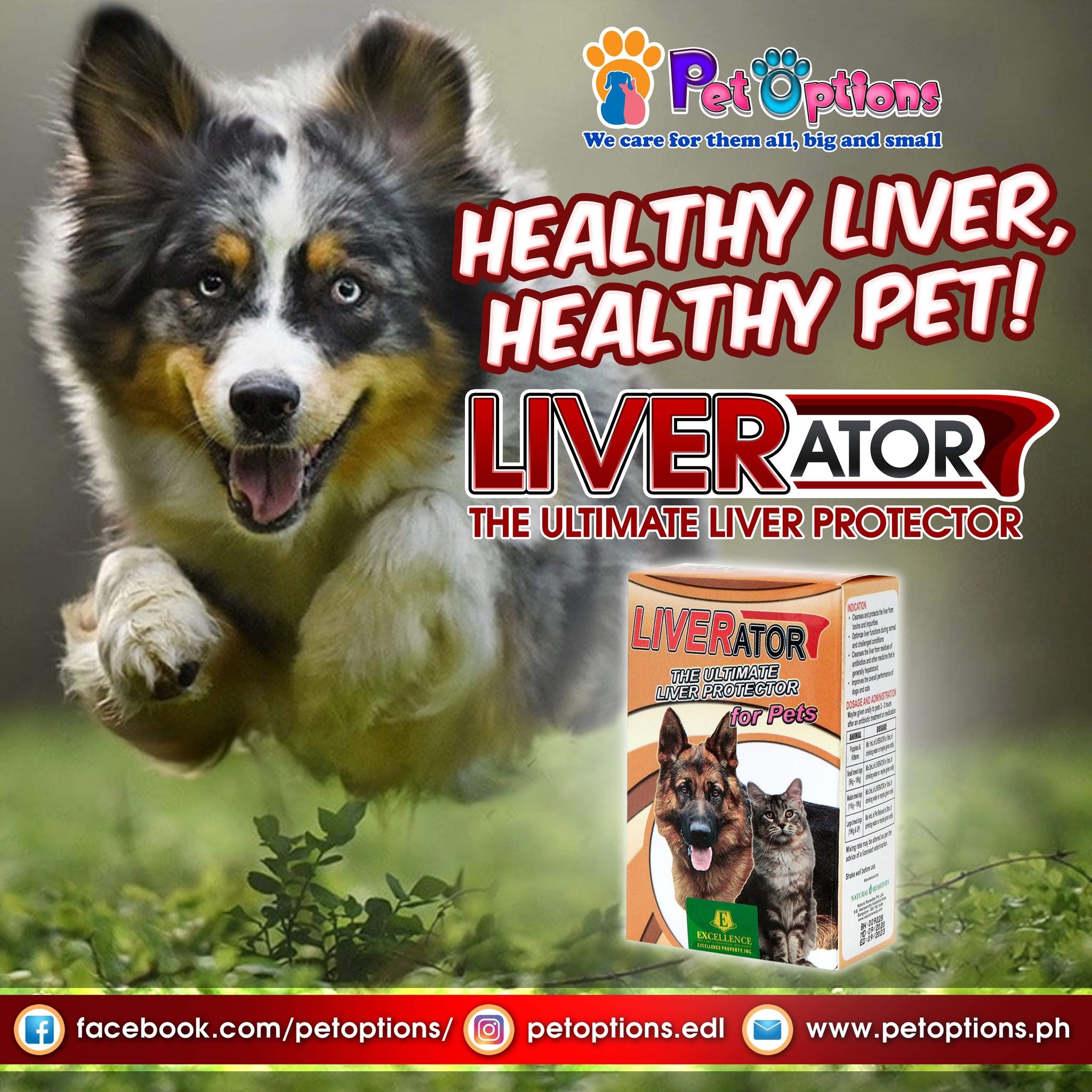 [FCR AGRIVET] Liverator Liver Supplement for Dogs and Cats Lazada PH