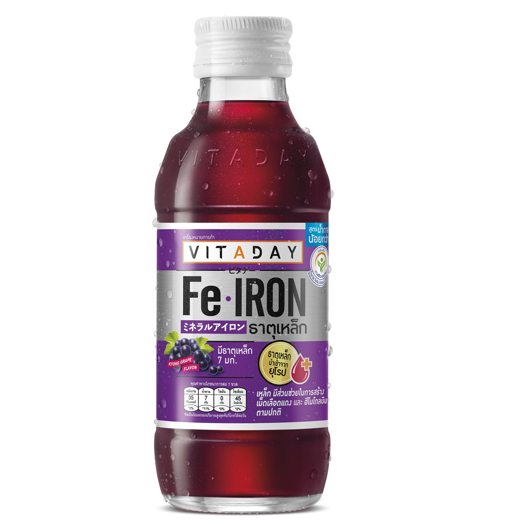 Vitaday Grape Juice drink with Iron 150ml Lazada PH