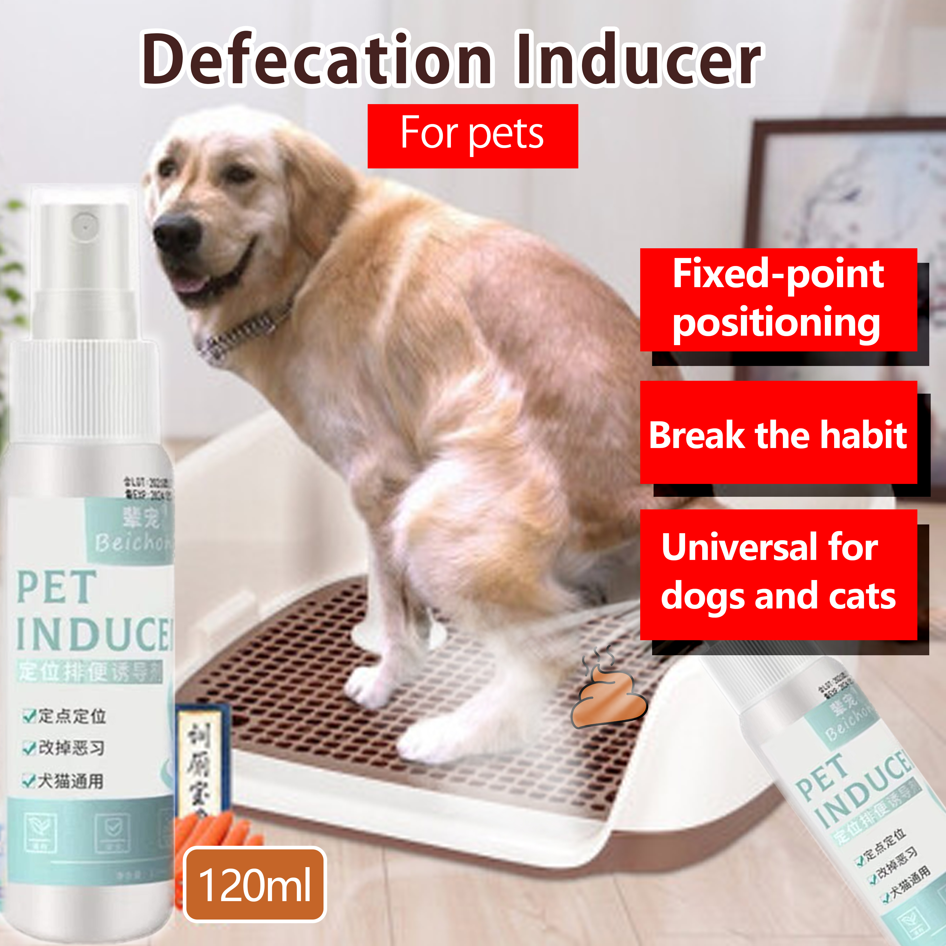 How To Train My Dog To Poop On Pad