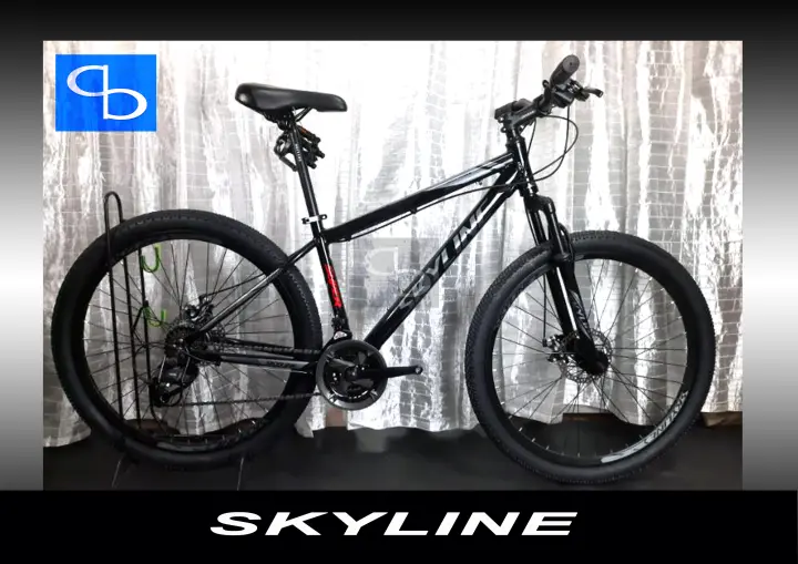 skyline mountain bike