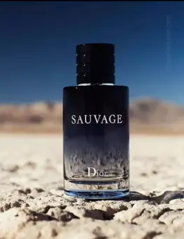 dior sauvage edt 100ml best price