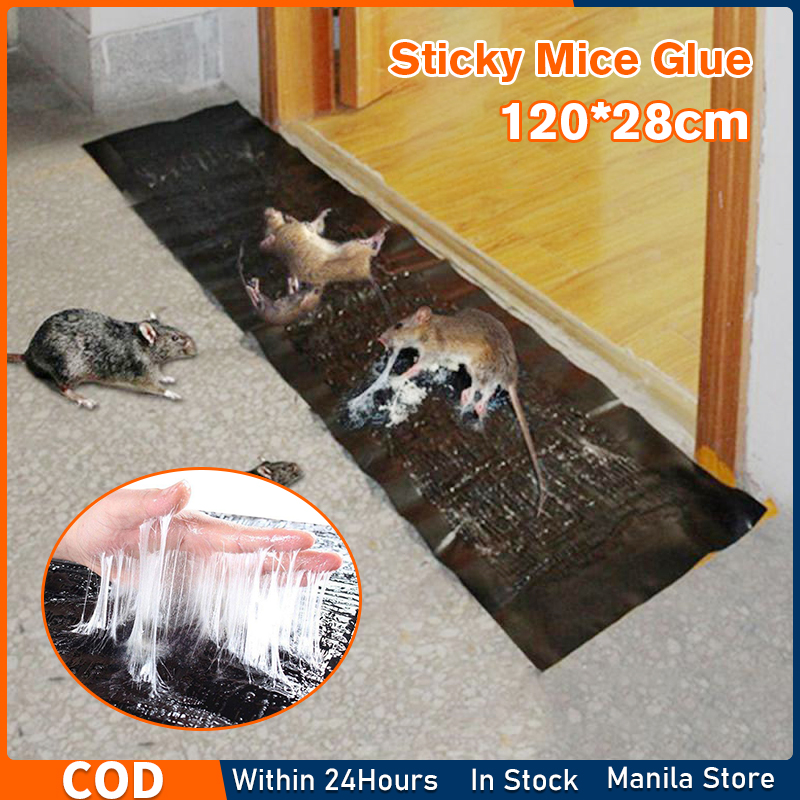 Rat Stickers, Strong Adhesive Plates, Mousetrap To Drive Away Rodents,  Household Clamp To Catch Rats, Adhesive Plate Glue To Stick To Rats,  Outdoor Hunting, Mouse Traps, Don't Miss These Great Deals