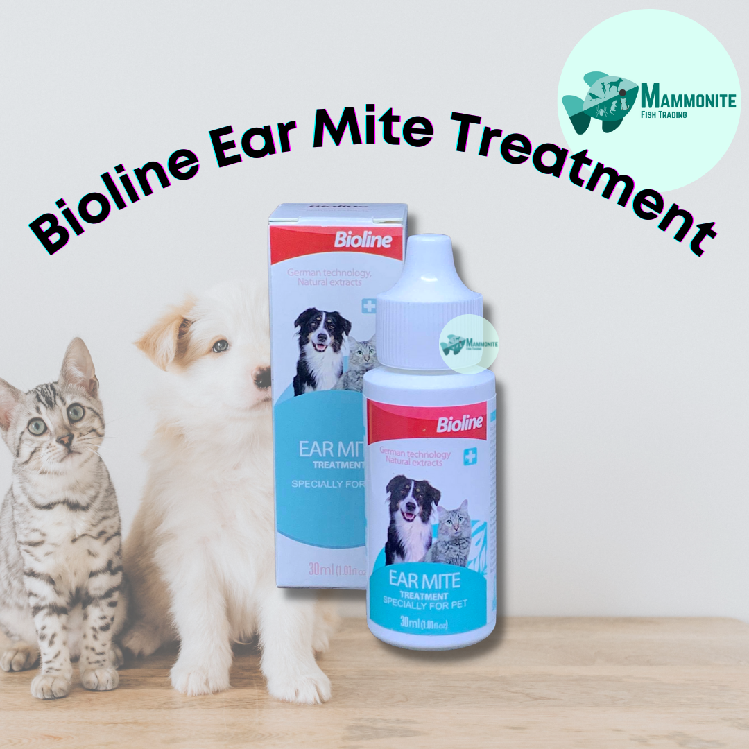 Bioline Ear and Eye Care Tear Stain Remover 50mL Lazada PH