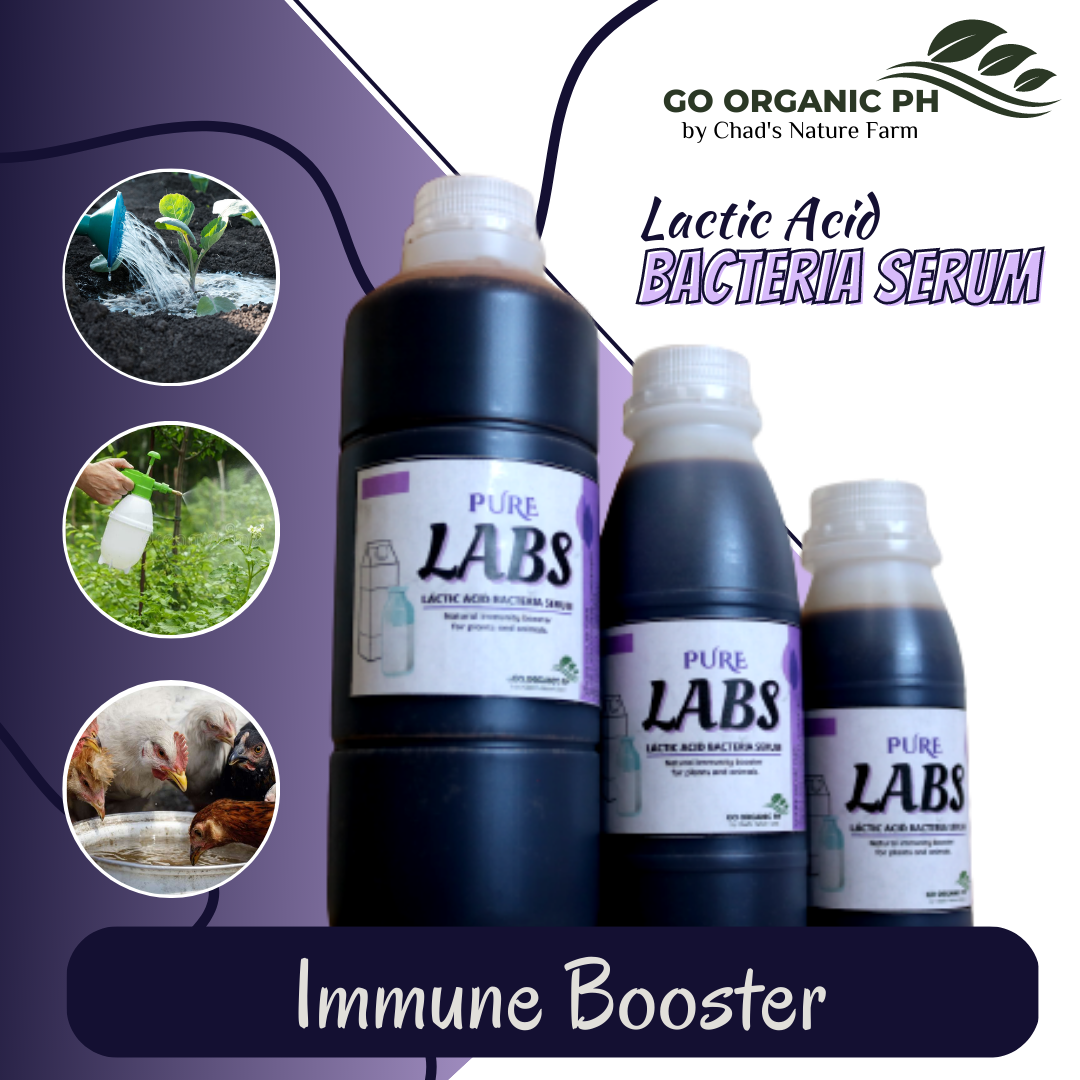 GO ORGANIC PH PURE LABS (Lactic Acid Bacteria Serum) as Natural