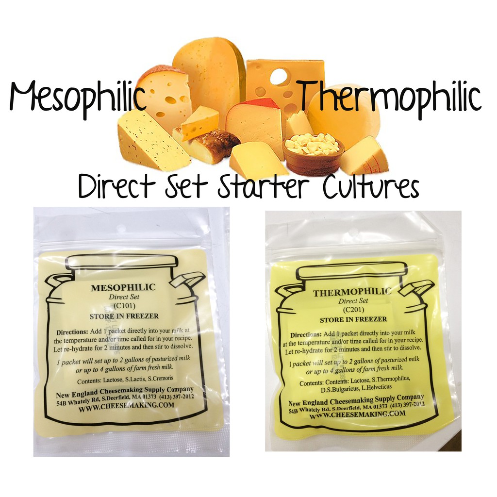 Mesophilic Thermophilic Direct set cheese starter culture Lazada PH