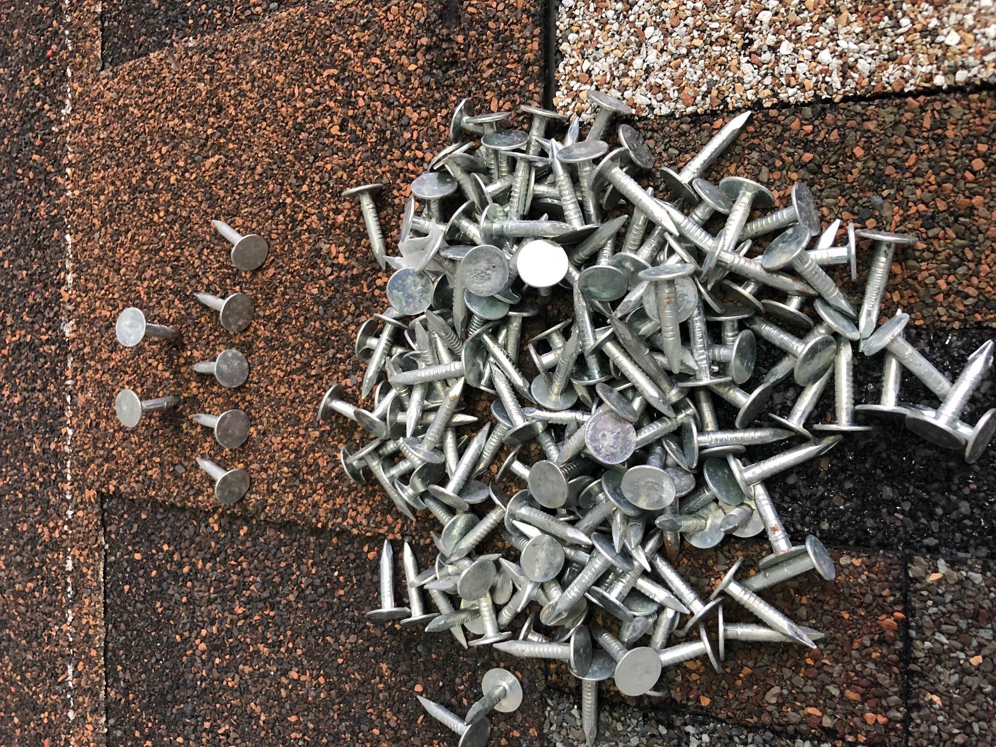 Roofing Shingles Flat Head Nails 1", Flat Head Nails GI Flat Head Nail for Roof Shingles 4KG