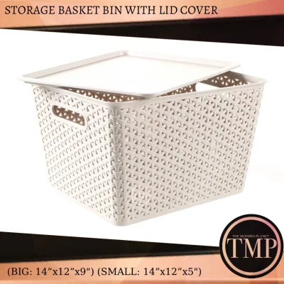 TMP Rattan Style Plastic Storage Basket with Lid - Gray Protontech The Modern Planet