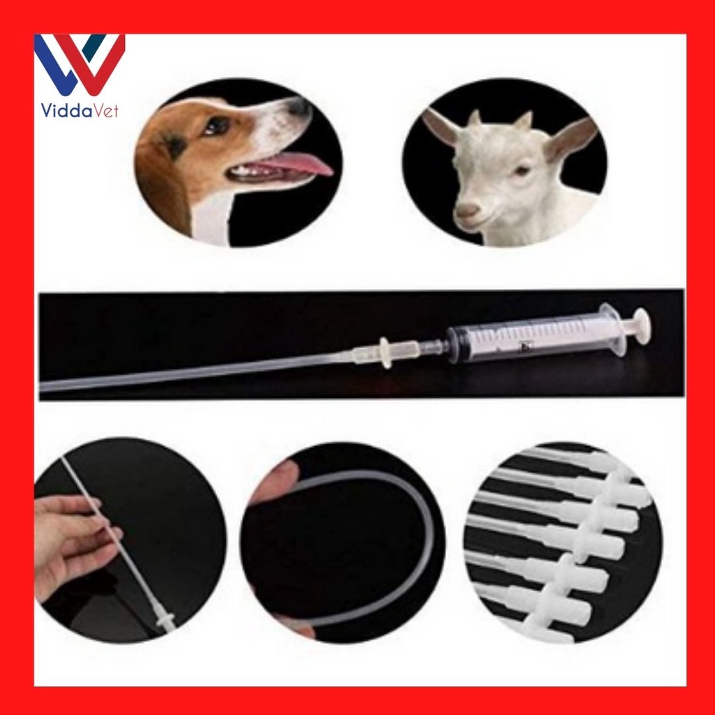 1 set of disposable syringe with Disposable A.I. Catheters for Dog Goat