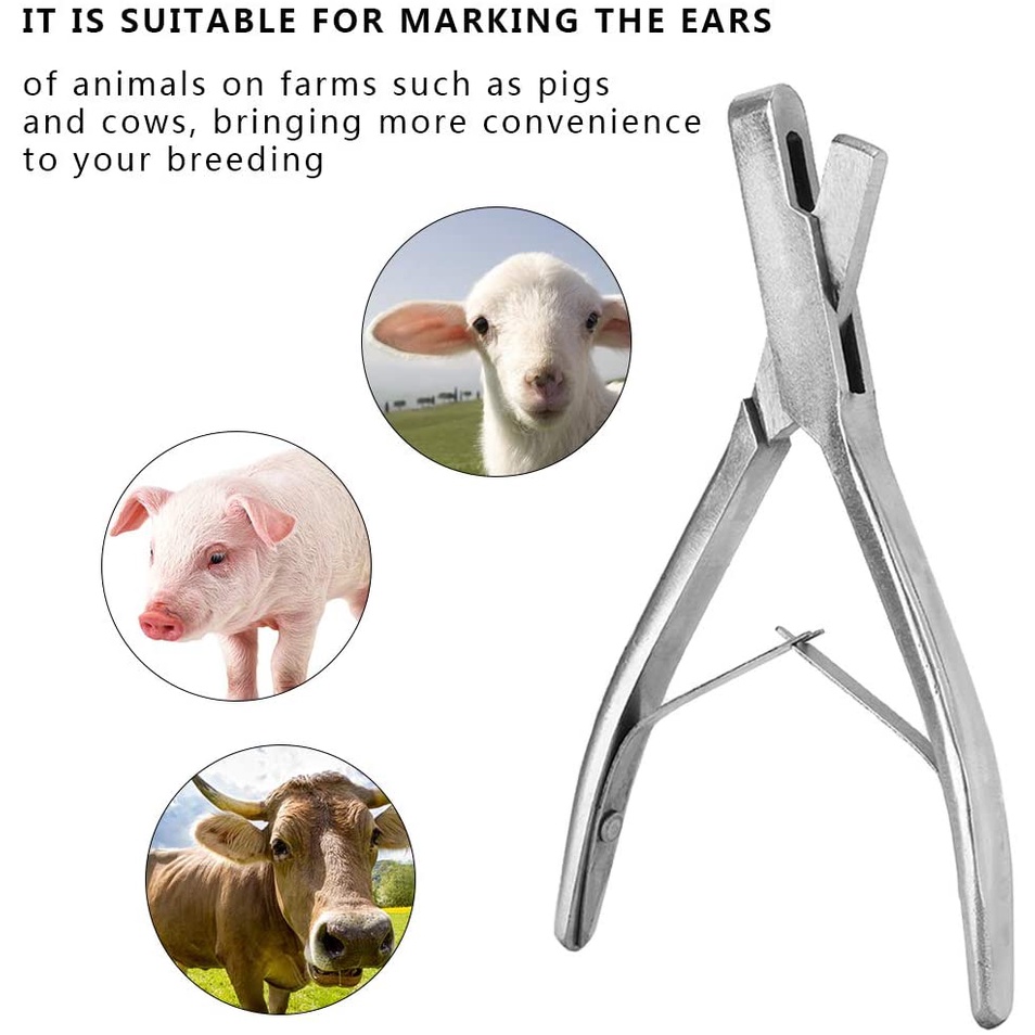 ♩Ear Notcher Stainless Steel 6.3'' V Ear Mark Cutter Plier Animal ...