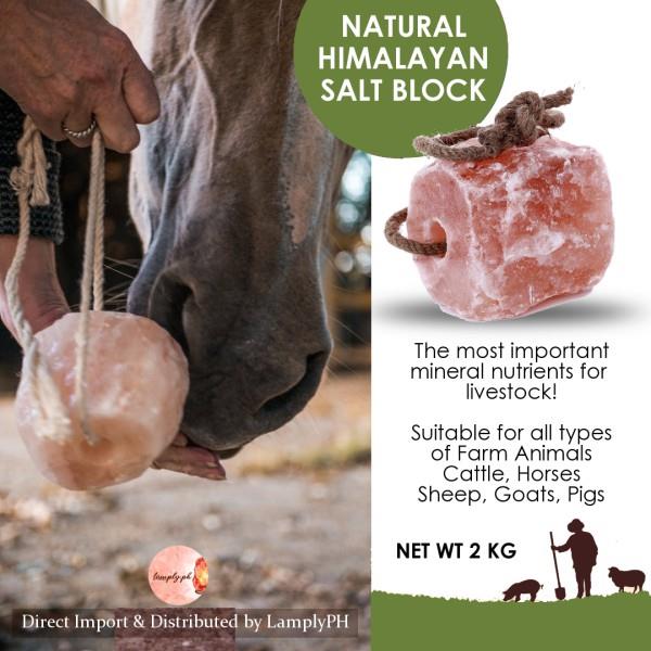 2kg Animal Himalayan Lick Salt Licking Salt Block Mineral Salt for Goat