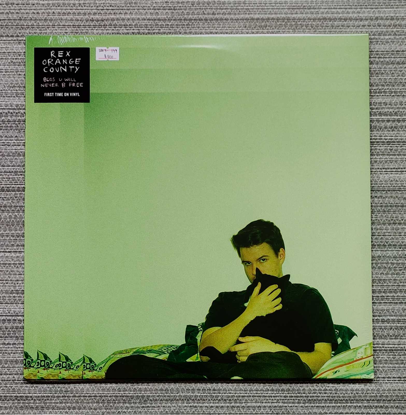 Rex Orange County – Bcos U Will Never B Free | Vinyl LP Plaka The Grey ...