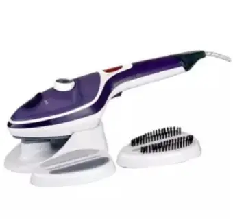 steam iron brush