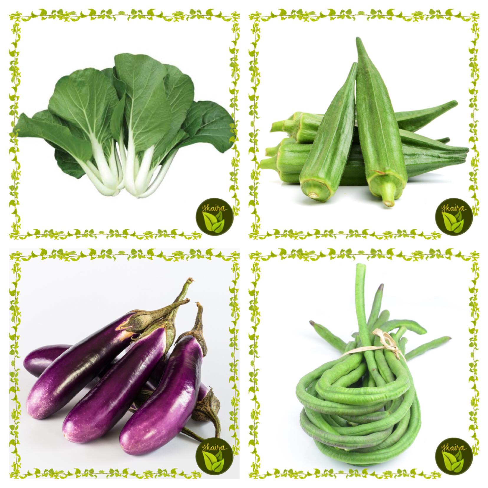 4 In 1 Pack Seeds For Planting Pechay Okra Talong Sitaw Vegetable Binhi