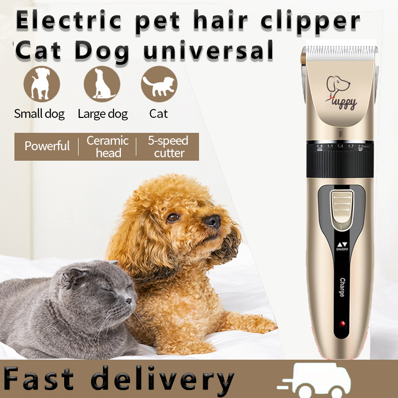 Can You Shave Dogs With Human Clippers