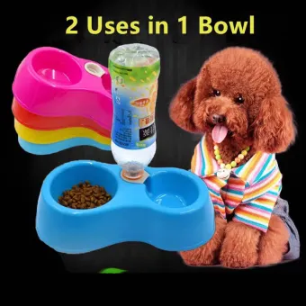 automatic dog feeder station