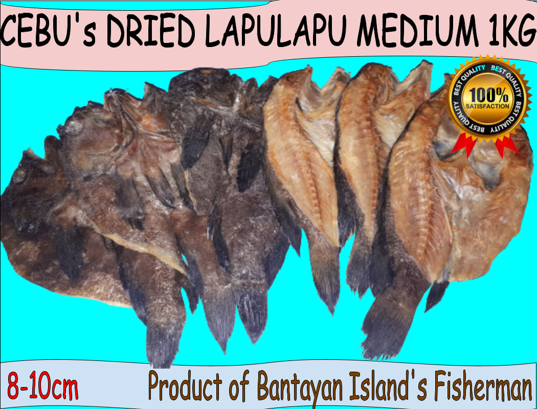 Cebu's Dried LapuLapu Lazada PH