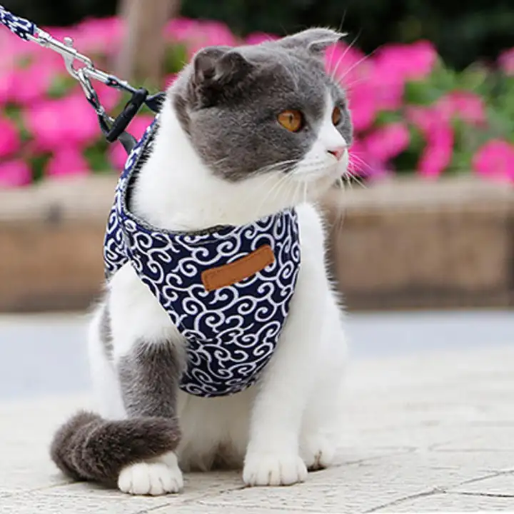 cat harness lazada