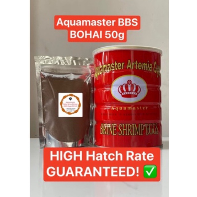 AQUAMASTER Artemia Cysts Baby Brine Shrimp Eggs (BBS) BOHAI 50g | Lazada PH