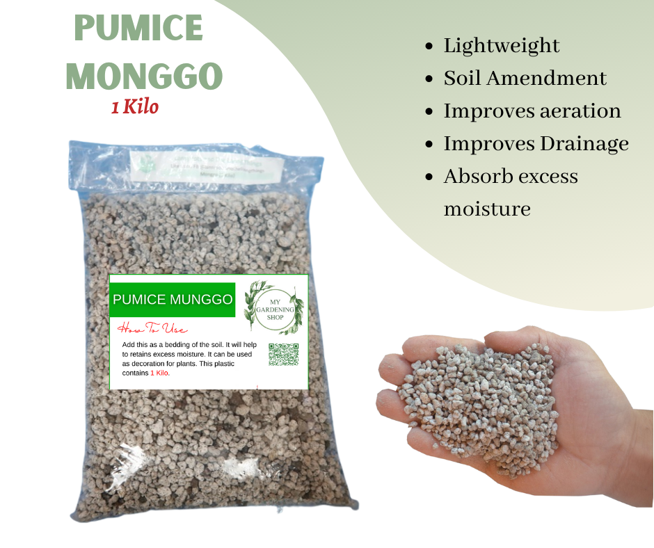 PUMICE STONES FOR PLANTS ABSORBS WATER EVENLY (MUNGGO,MATANGHITO,CORN