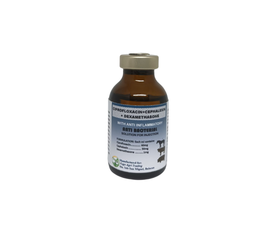 CIPROFLOXACIN +CEPHALEXIN + DEXAMETHASONE 100 ml Lazada PH
