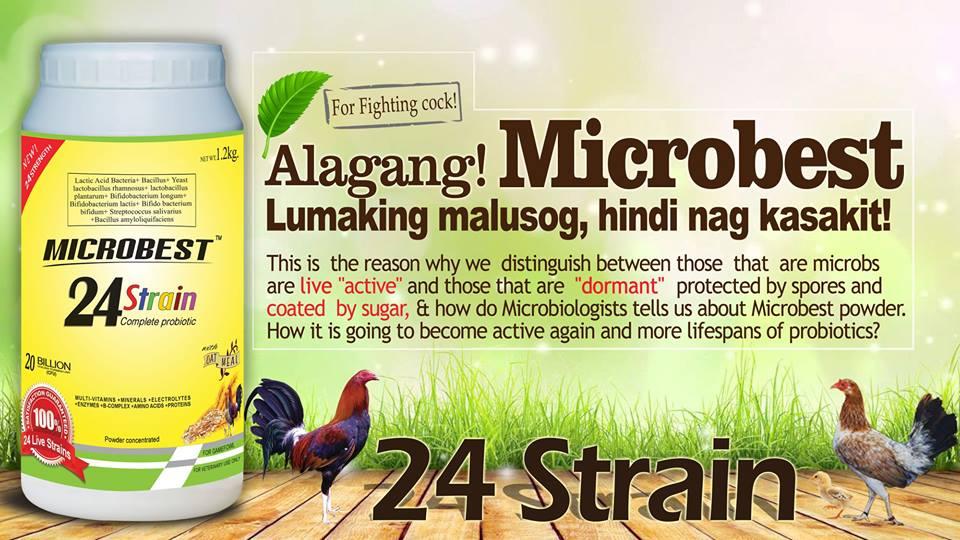 4 bottles of Microbest 120ml Probiotic Multivitamins for Gamefowl