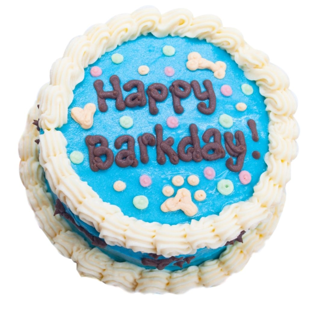 Royal Blue Celebration Dog Cake – Round Cake – Hyderabad
