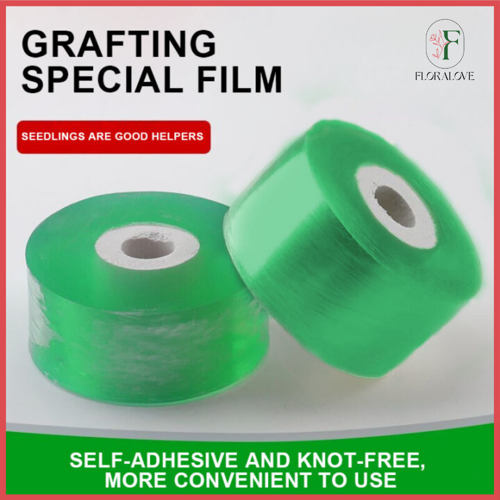 Grafting Tape Stretchable Grafting Film Plants Repair Tapes For Floral Fruit  Tree Garden Tape Poly Budding Tape 2/3/5CM*150CM - Green