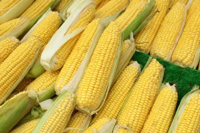 Sweet Corn / Yellow Corn (1 kilo)