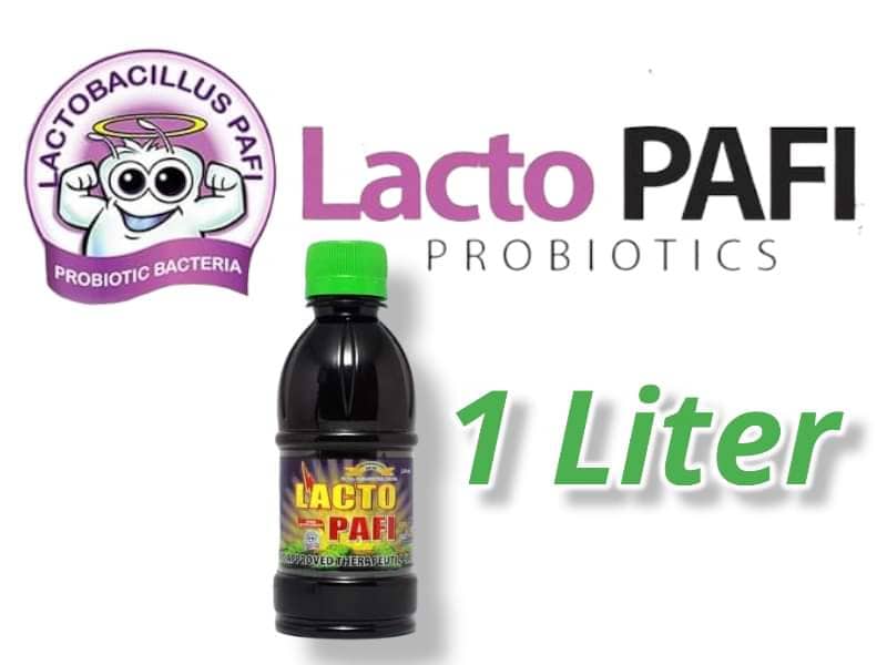Lacto Pafi Probiotic Bacteria Soya Fermented lactobacillus Drink