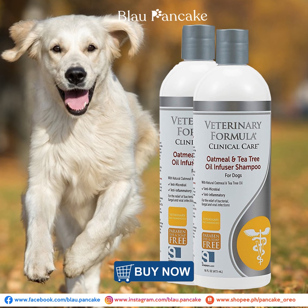 Will Tea Tree Oil Kill Mange On Dogs