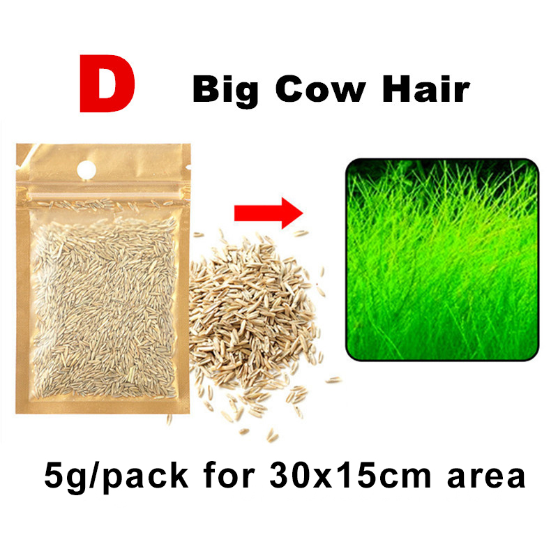 Aquarium Grass Seeds small Cow Hair Grass Aquarium Plant 