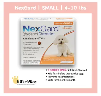 nexgard small