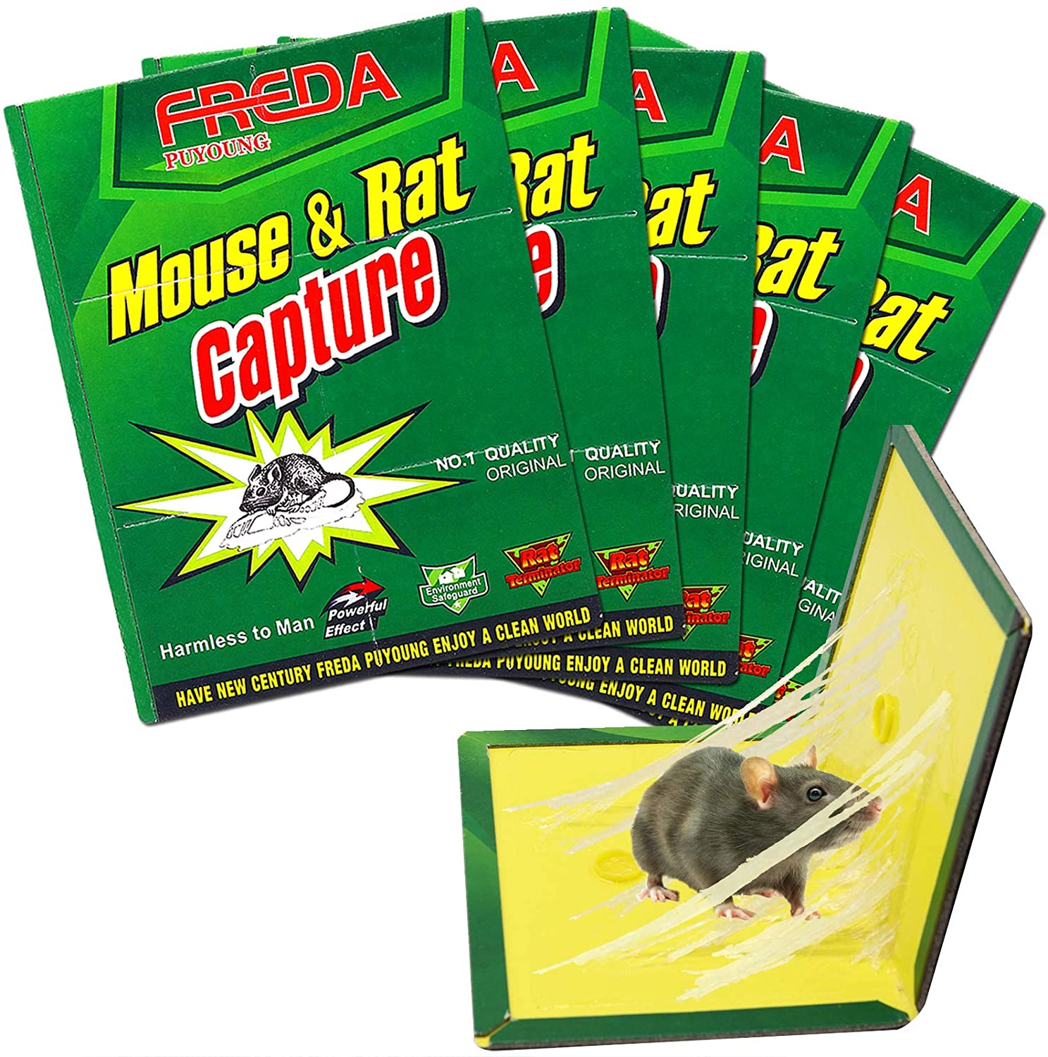 200%.Mall Sticky Mouse Board Set of 10 Mouse Glue Traps Rat Glue Traps ...