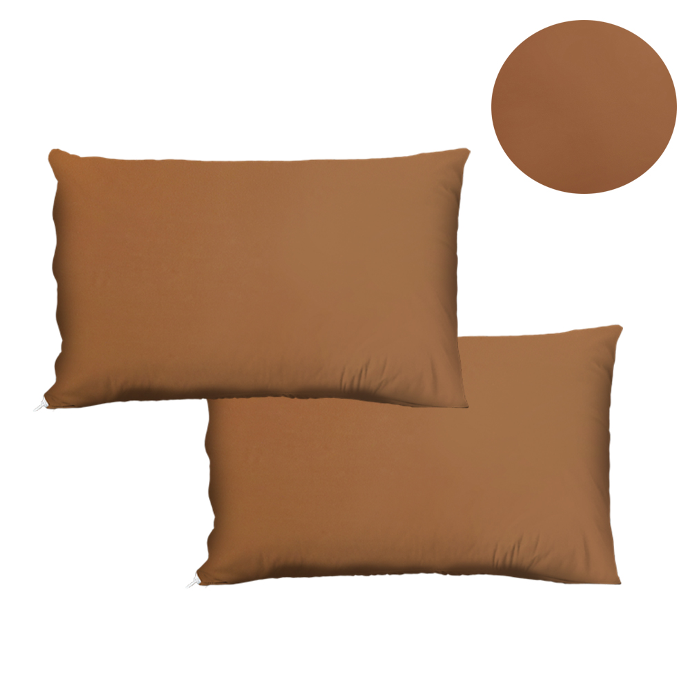 2 PCS Pillow Cases 20‘’*30‘’ Sizes Bed Pillow Cover with Zipper Pillow