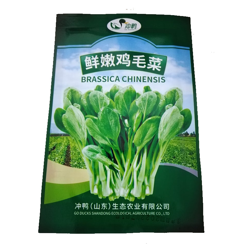 Hybrid Fruits and Vegetable Seeds for Planting Lazada PH