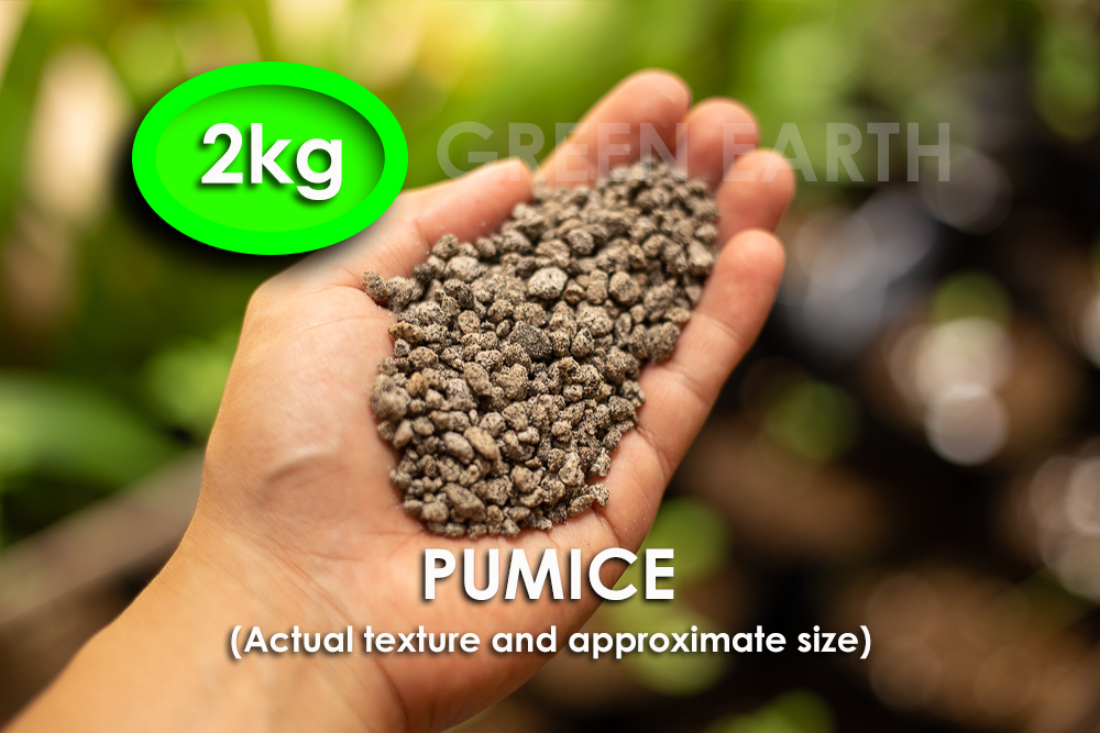 GREEN EARTH/ PUMICE STONES Mongo (2 Kilos). Used for landscaping