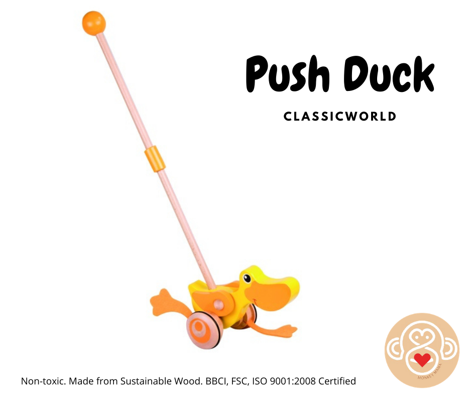 push duck toy
