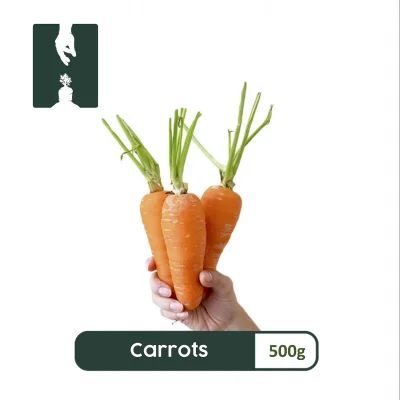 500G - CARROTS — Fruits, Vegetables, Meat, Seafood, Groceries Online Home Delivery — Grocery