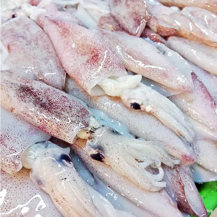 Bfresh Pusit Bisaya | Lazada PH