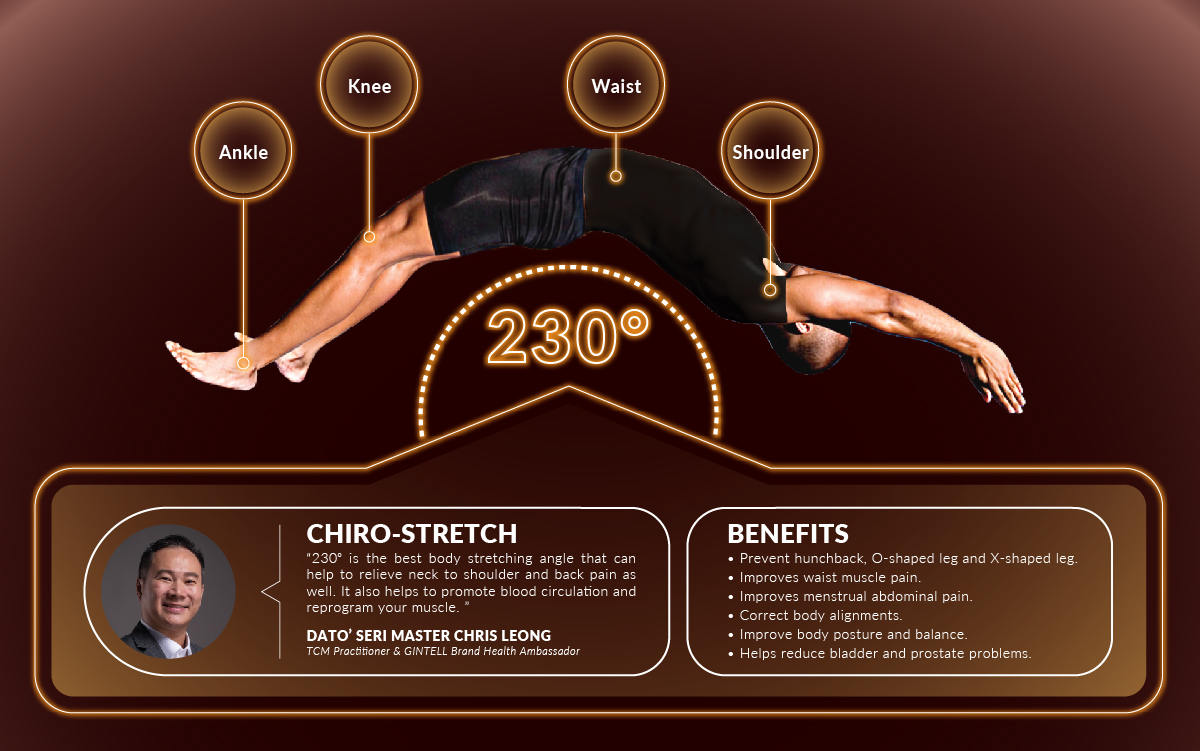 GINTELL DéSpace Star-X Massage Chair [2 YEARS WARRANTY] Lazada