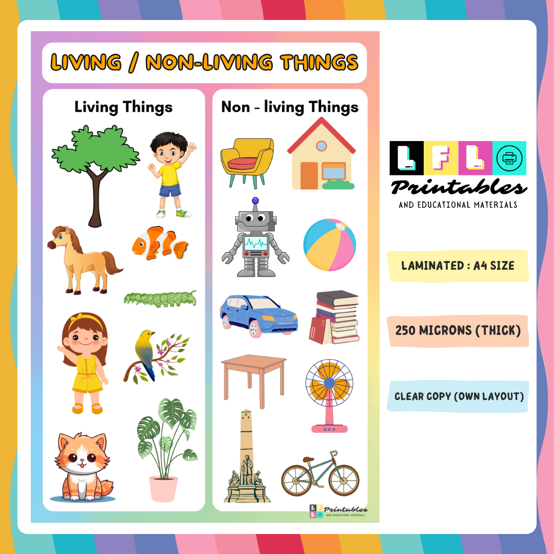 LAMINATED EDUCATIONAL WALL CHARTS FOR KIDS, LEARNING MATERIALS FOR KIDS | Lazada PH