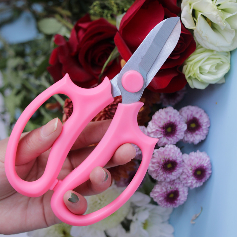 Gardening, flower scissors, wide head, household flower scissors