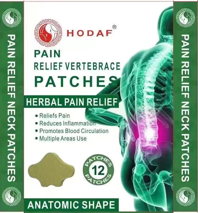 HODAF Relieve Cervical Frozen Shoulder＆Waist Muscle Pain Patches ...