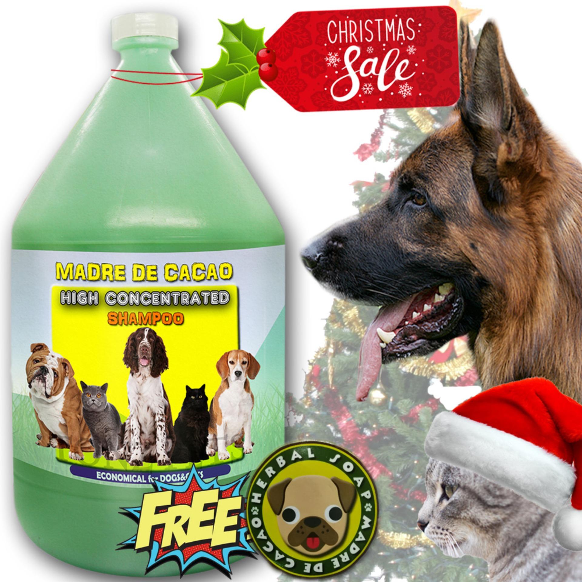 Madre De Cacao Shampoo 1 Gallon 3 78l With Guava Extract Supplier With Mdc Soap For Dogs And Cats Anti Mange Anti Tick Anti Bacterial