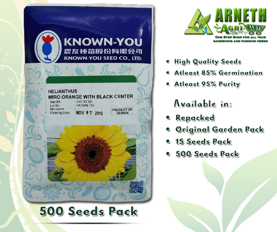 MIRO MEDIUM SIZED SUNFLOWER PLANT SEEDS, SUNSHINE ORANGE WITH BLACK ...