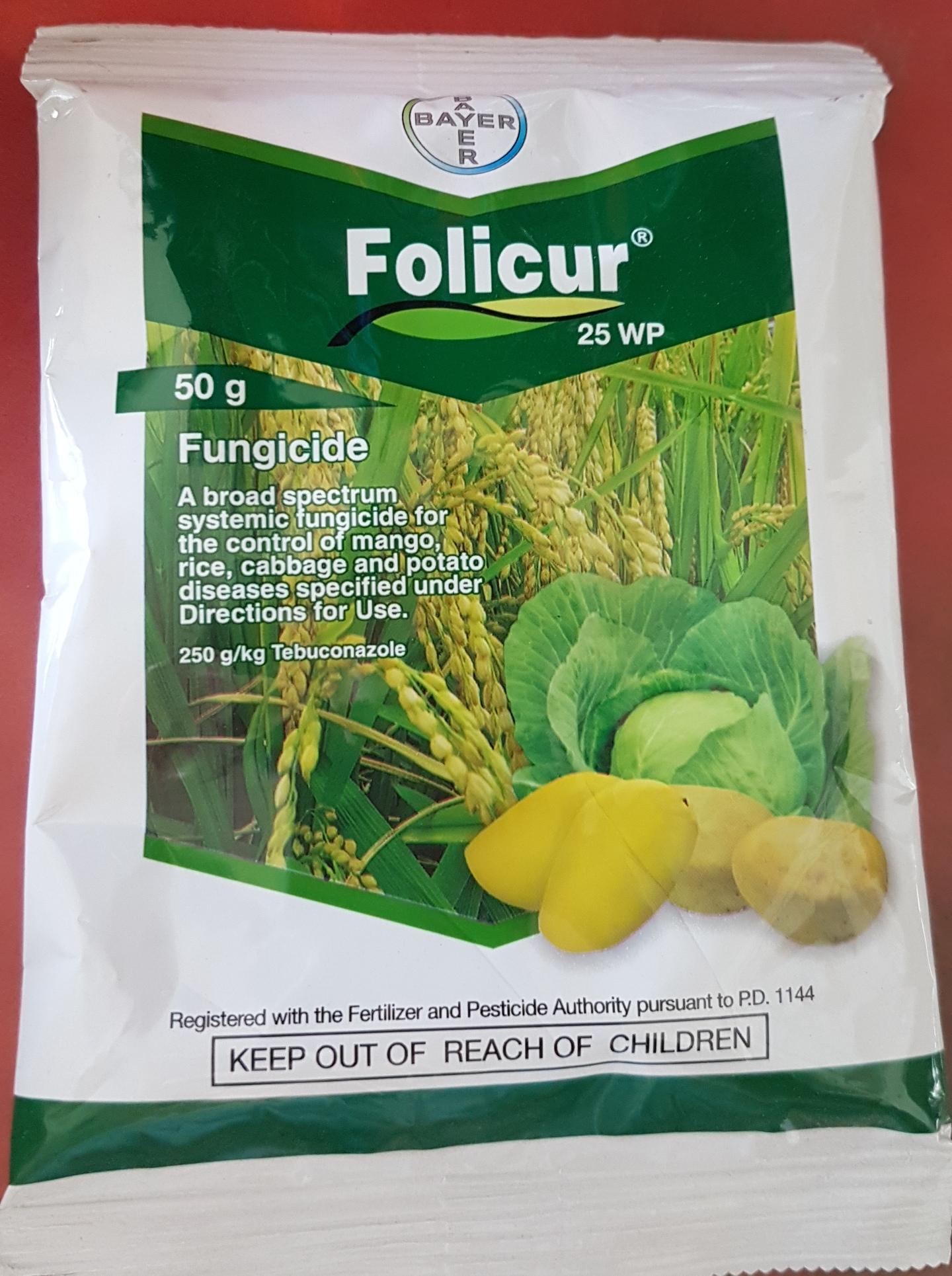 Folicur Fungicide 25wp 50 Grams Systemic Fungicide Lazada Ph