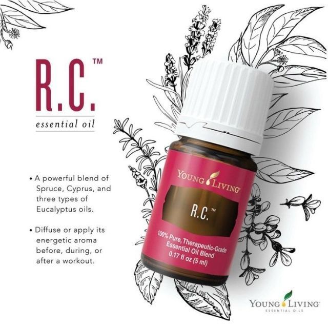 Sale Young Living Sealed R C Essential Oils 5ml Or 15ml 100 Authentic Original Young Living Essential Oils Lazada Ph