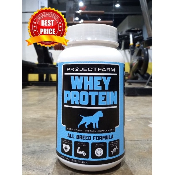 Is It Ok To Give Dogs Whey Protein