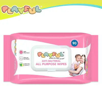 PLAYFUL Anti-Bacterial All Purpose Wipes 90's