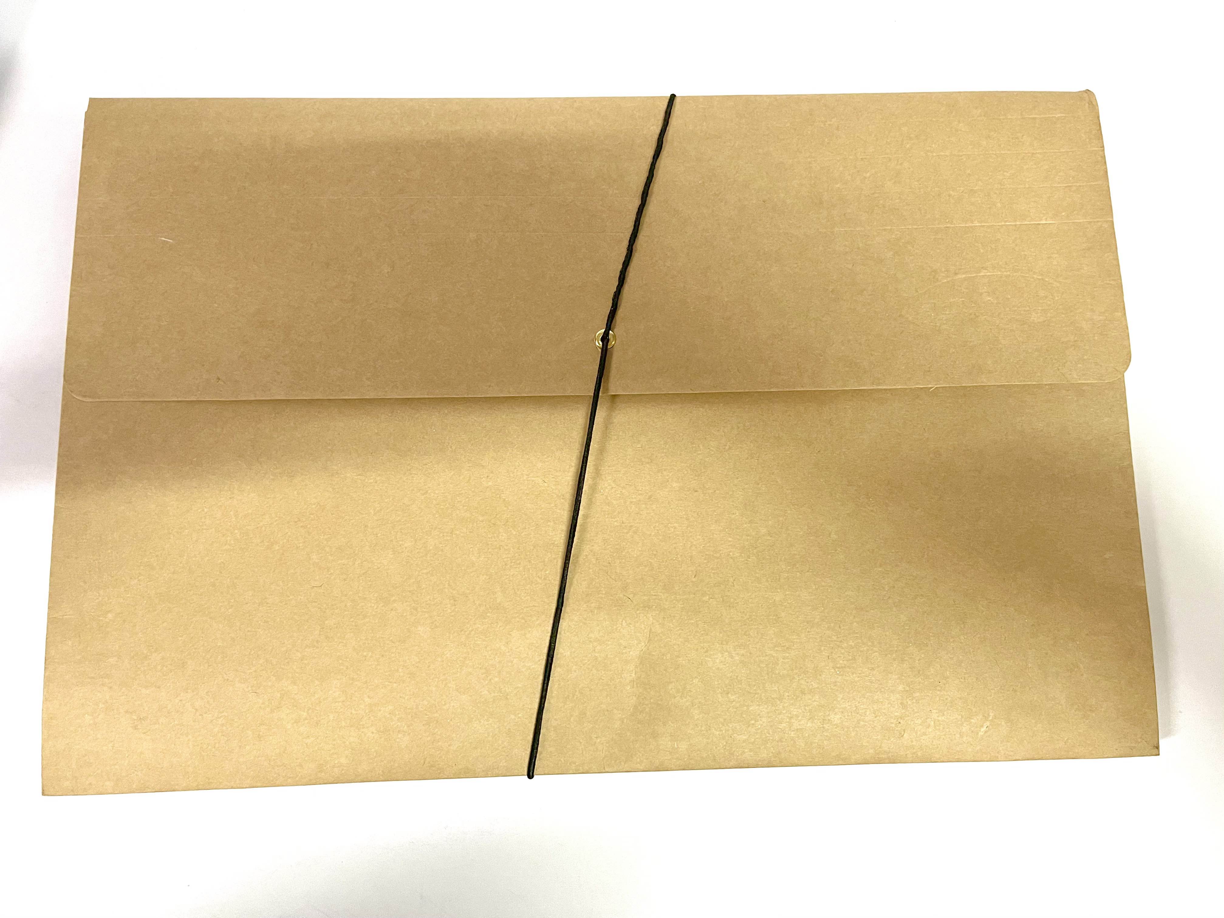 Expandable Envelope Long With Garter & Metal Tab l Portfolio Expanding